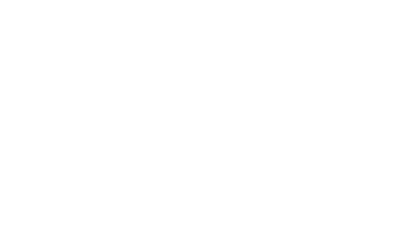 The Ibiza News